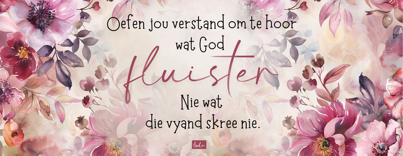 Lovanna Penneblikkies