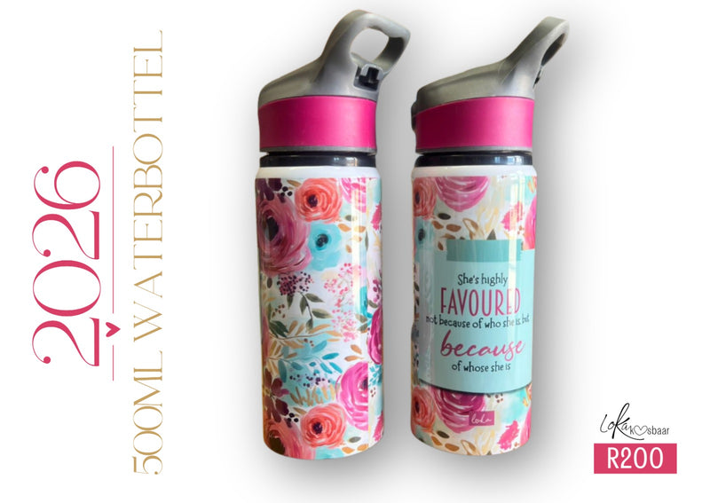 2026 Waterbottel 500ml - pienk