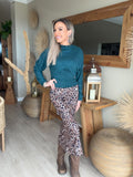 Reytjie truitjie